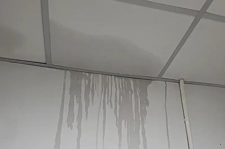 Water leaking in office ceiling and walls