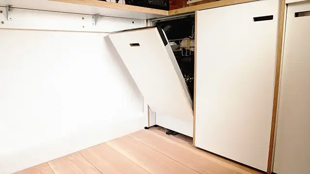 Dishwasher leaks